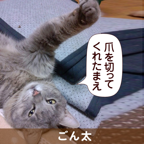 131129_touko.jpg