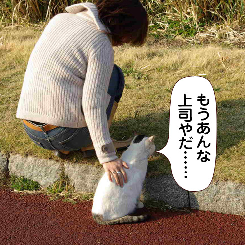 131130.jpg