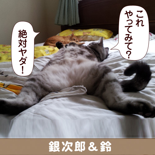 131209_touko.jpg