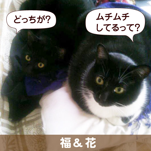 140110_touko.jpg