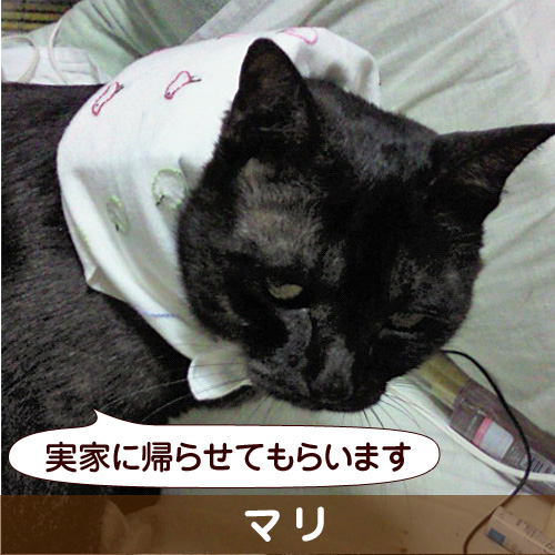 140115_touko.jpg