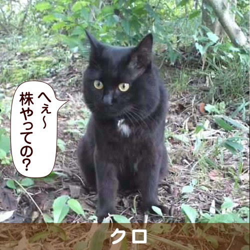 140119_touko.jpg