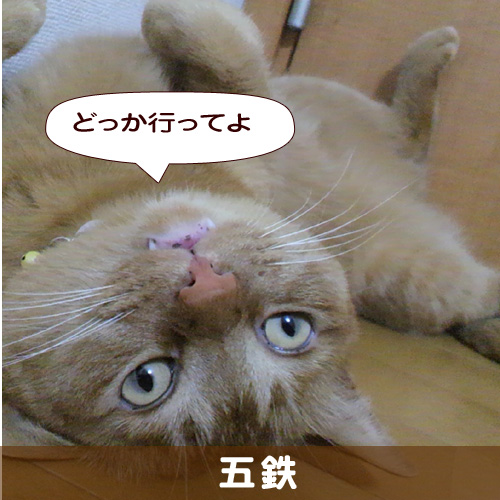 140322_touko.jpg