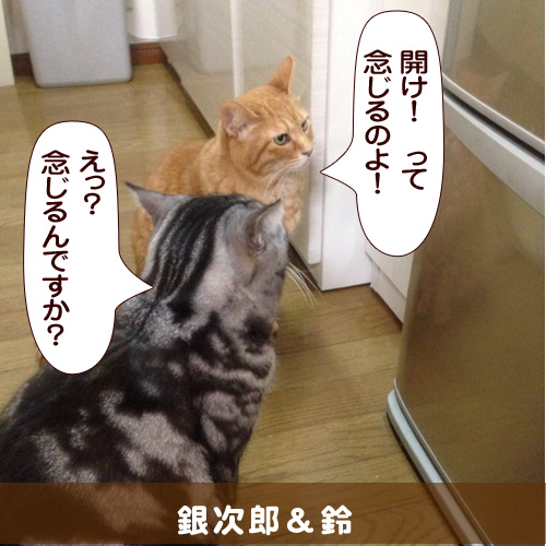 140503_touko.jpg