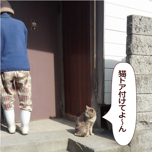 140530_touko.jpg
