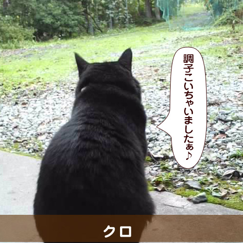 140615_touko.jpg