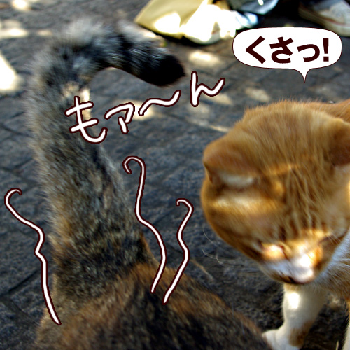 くさっ！