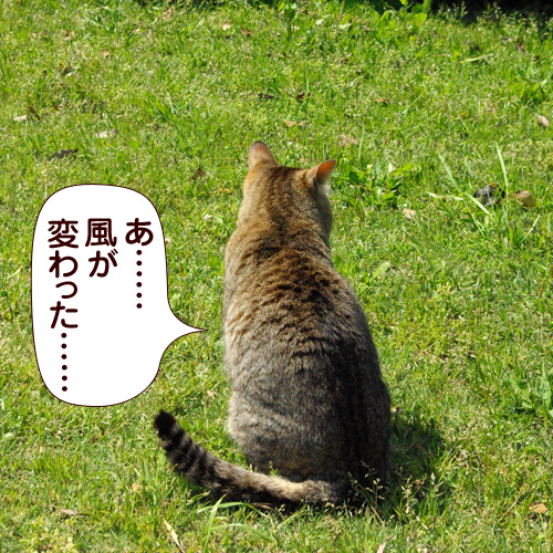 あ……風が変わった……
