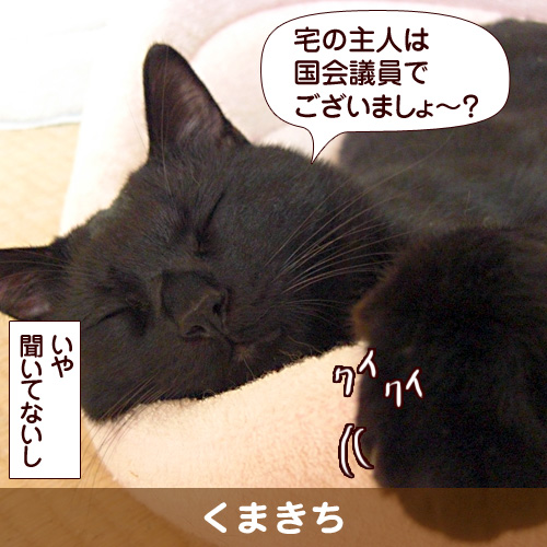 宅の主人は国会議員でございましょ～？