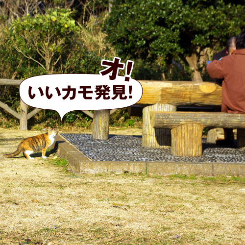 いいカモ発見！