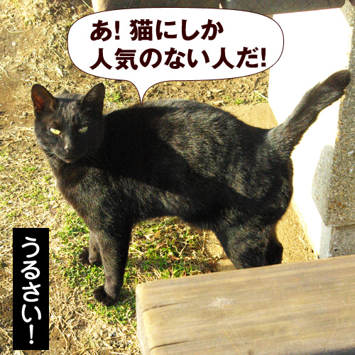 あ！　猫にしか人気のない人だ！