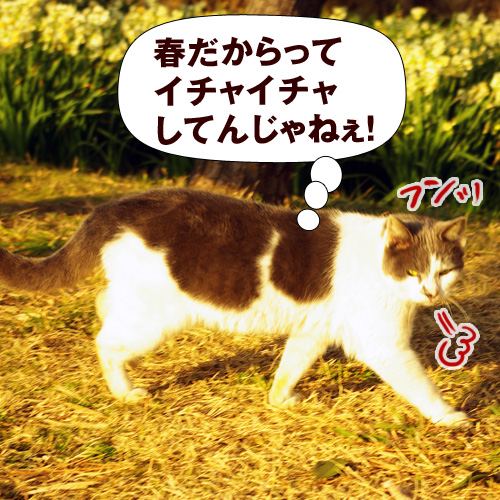 春だからってイチャイチャしてんじゃねぇ！
