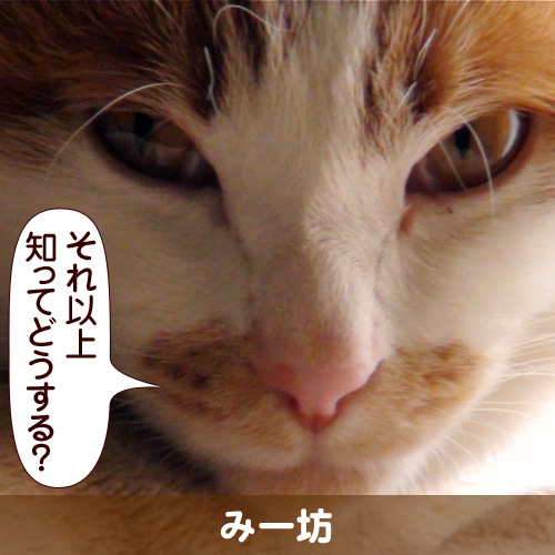 20111029_touko.jpg