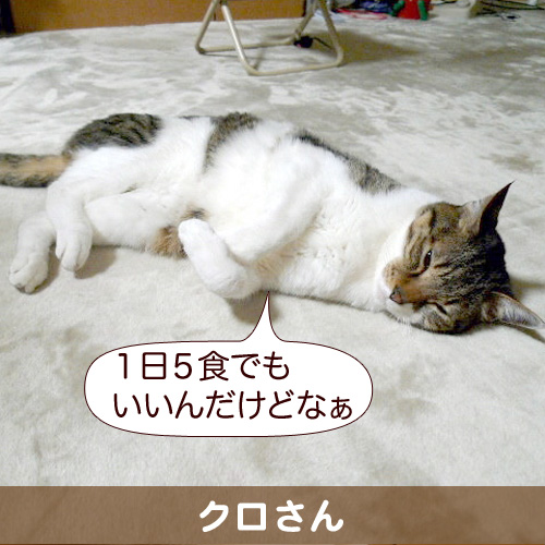 20111221.jpg