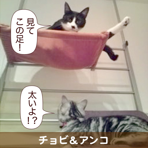 20111222.jpg