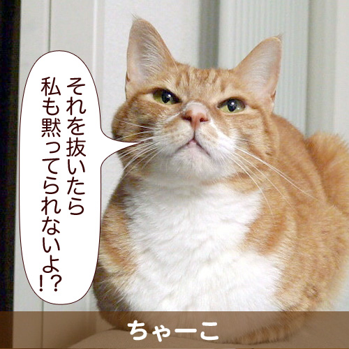 20111222_touko.jpg