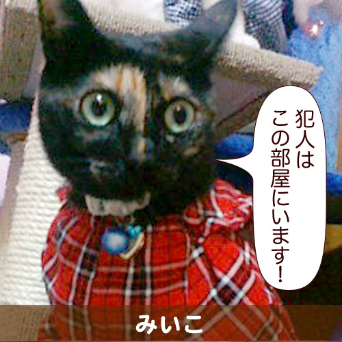 20111223.jpg