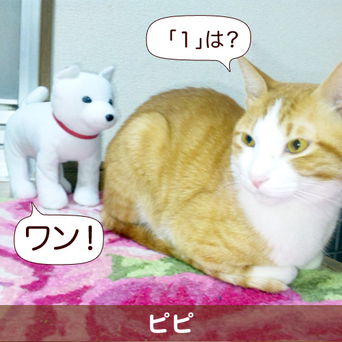20111223_touko.jpg