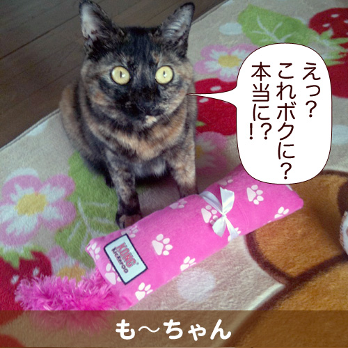 20111224_touko.jpg