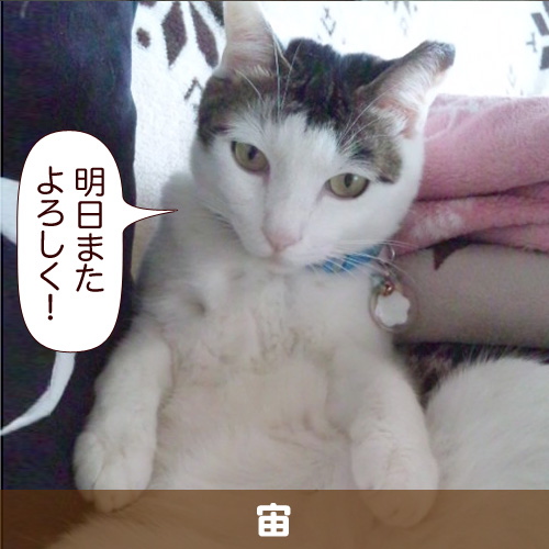 20111225.jpg