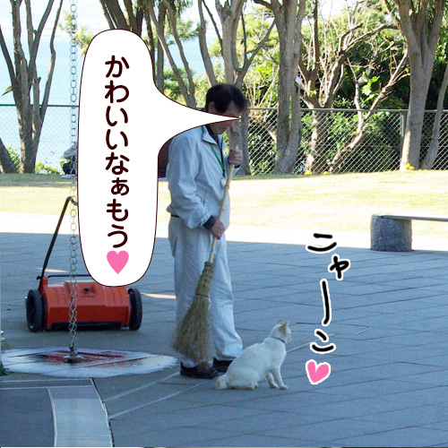 20120520.jpg