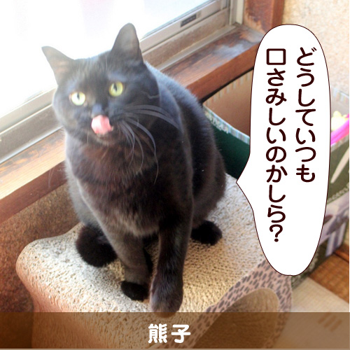 20140414_touko.jpg