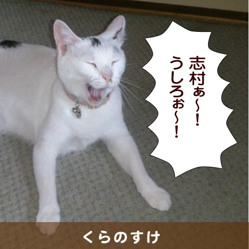 20140423_touko.jpg