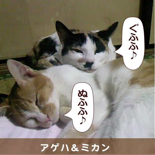 20140424_touko.jpg