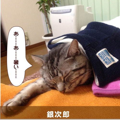 20140618_touko.jpg