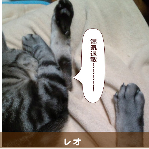 20140619_touko.jpg