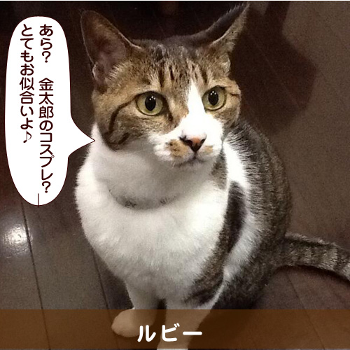 20140620_touko.jpg