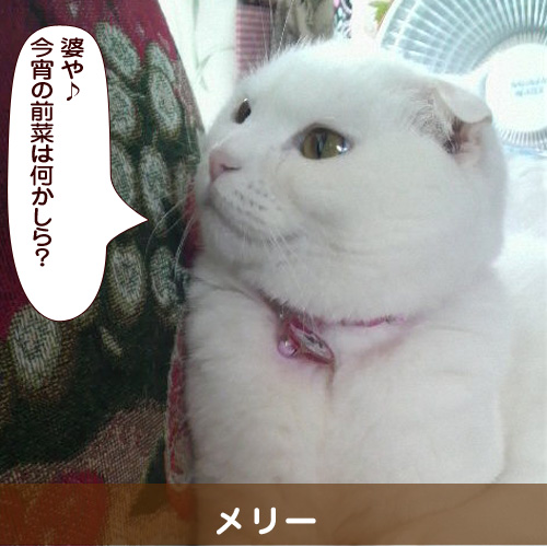 20140621_touko.jpg