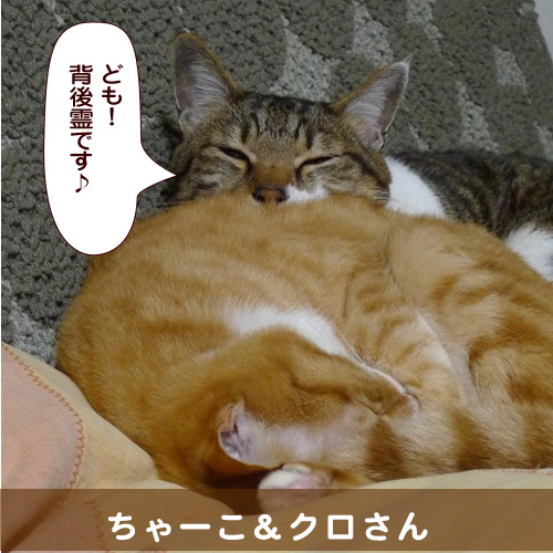 20140623_touko.jpg