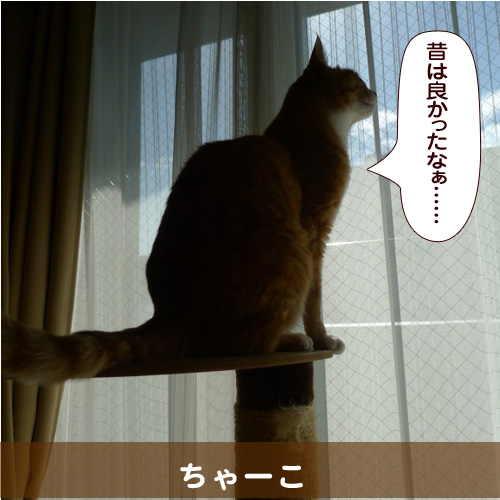20140624_touko.jpg