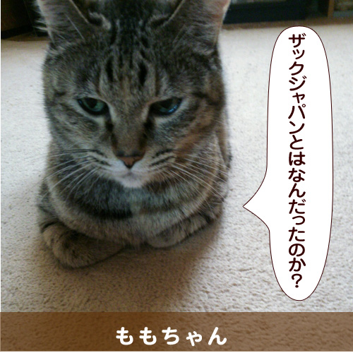 20140704.jpg