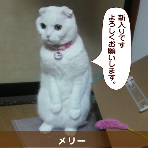 20140725_touko.jpg