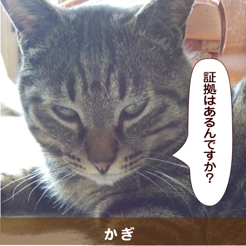 20140801_touko.jpg