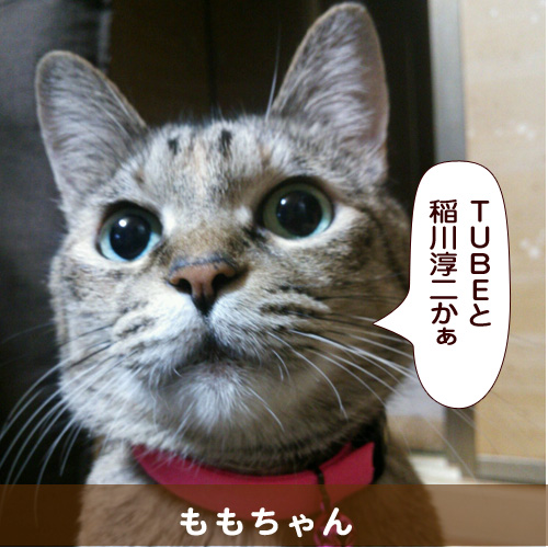 20140806_touko.jpg