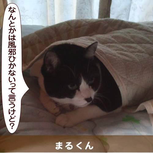 20141023_touko.jpg