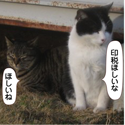 20141024_touko.jpg
