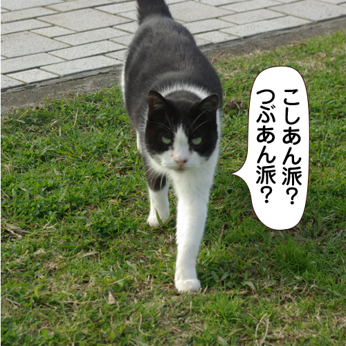 20141025_touko.jpg