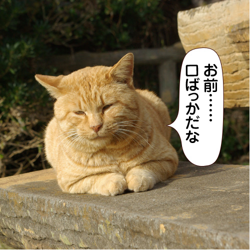 20141026_touko.jpg
