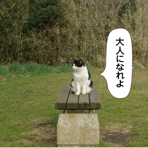 20141027_touko.jpg