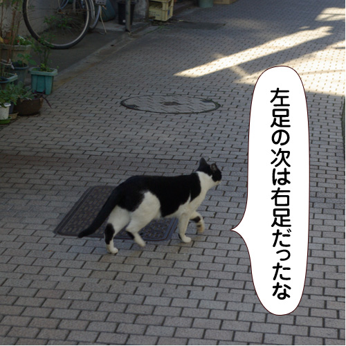 20141028_touko.jpg