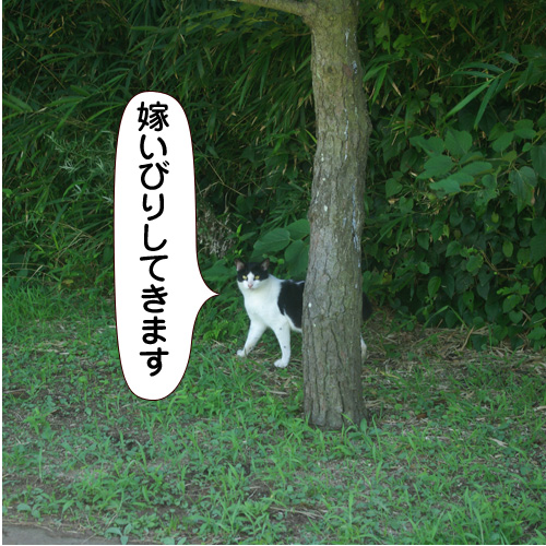 20141031_touko.jpg
