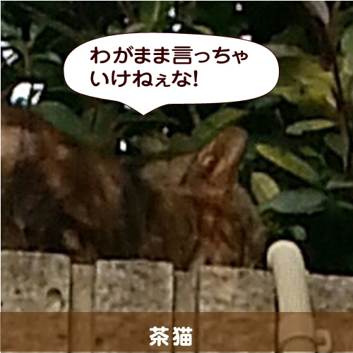 20141104_touko.jpg