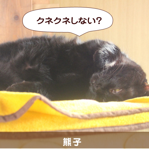 20141205_touko.jpg