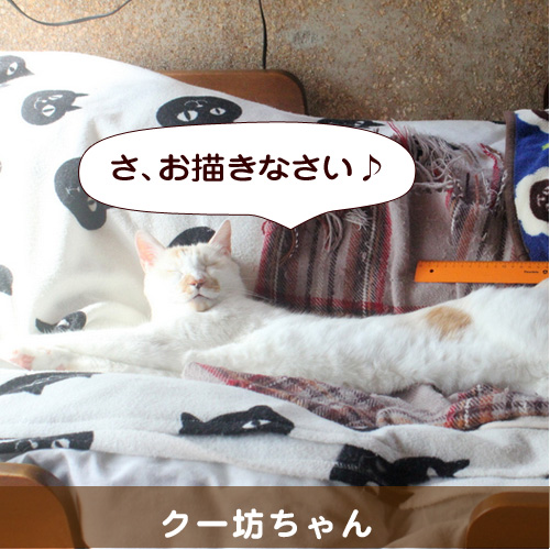 20141213_touko.jpg
