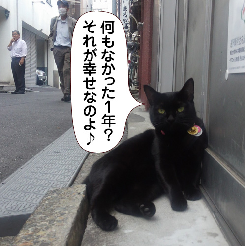 20141229.jpg