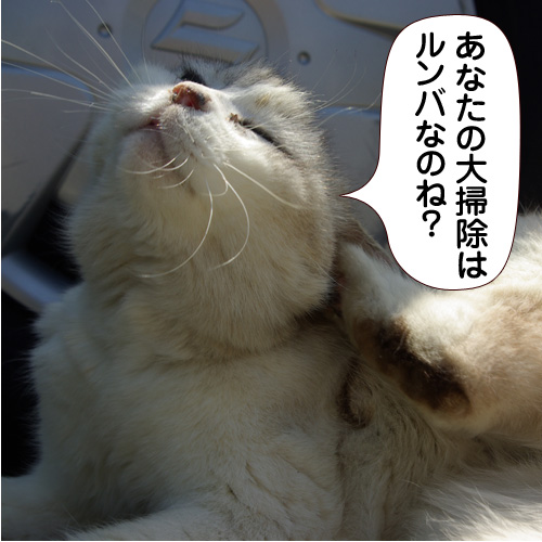 20141230.jpg